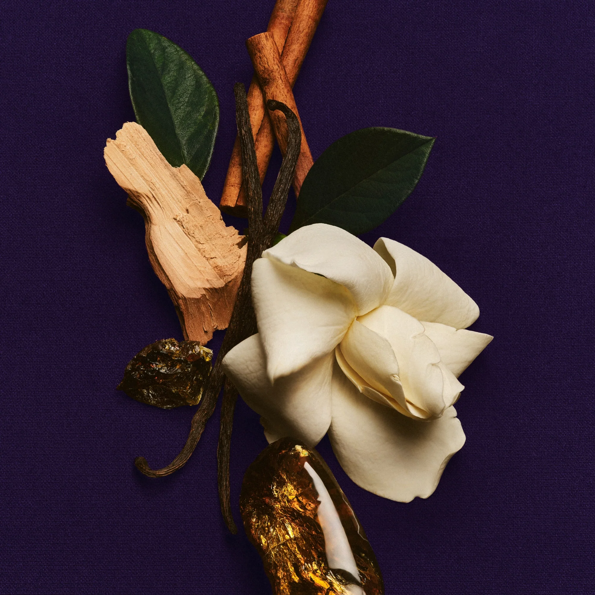 Charlie Beads & Athena Club Scent Wardrobe - Image 5