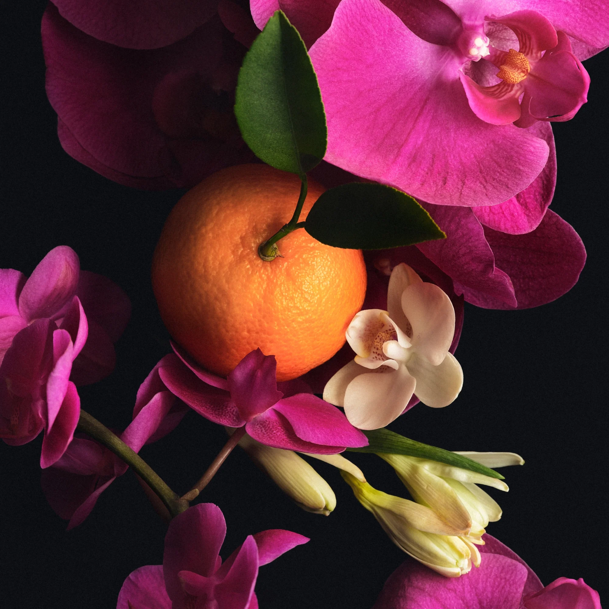 Scent Layering Trio - Image 3